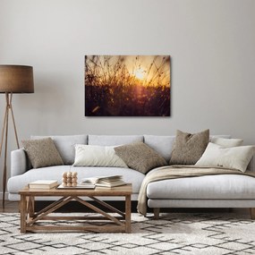 Obraz pola o zachodzie słońca (70x50 cm)