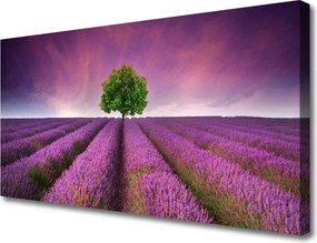 Obraz canvas Samotne Drzewo na Łące