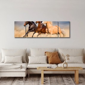 Obraz - Dzikie konie (170x50 cm)
