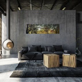 Obraz wschodu słońca (170x50 cm)