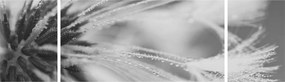 Obraz - Mlecz (170x50 cm)