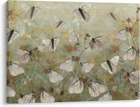 Obraz - Vintage motyle (70x50 cm)