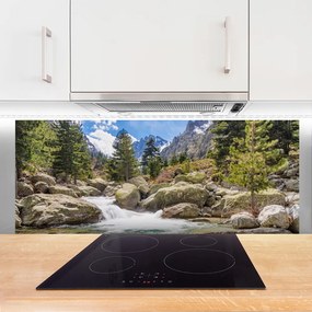 Panel Szklany Dziki Potok w Górskim Lesie