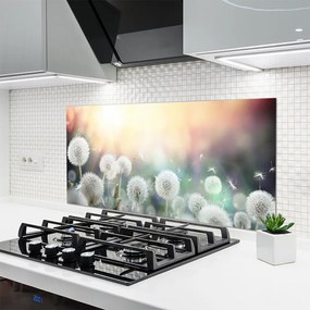 Szkło Dekoracyjne do Kuchni Lekkość Polnych Dmuchawców