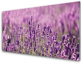 Panel Szklany Kwiaty Roślina Natura