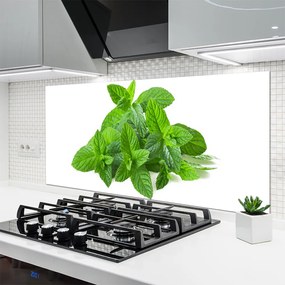 Panel Szklany Świeżość Liści Mięty