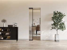 Drzwi przesuwne chowane w ścianie - aluminium i matowe szkło hartowane - wys. 205 x szer. 83 cm - LINCI II