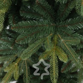 Jodła Kangri 150 cm