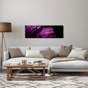 Obraz  - Kropla wody (z zegarem) (90x30 cm)