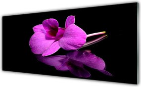 Panel Szklany Artystyczna Martwa Natura