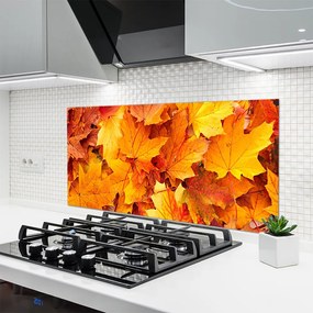 Szkło do Kuchni na Ścianę Organiczny Motyw Roślinny