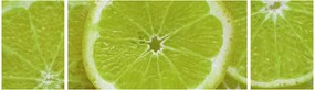 Obraz - pokrojone cytryny (170x50 cm)