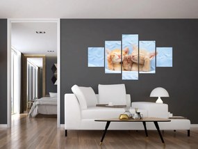Obraz - Śpiące kocięta (125x70 cm)