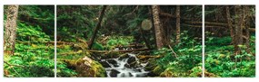 Obraz strumienia w lesie (170x50 cm)