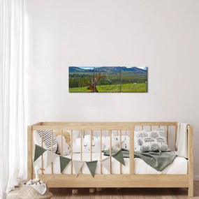 Obraz - Jeleń na łące (z zegarem) (90x30 cm)
