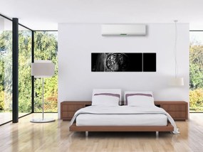 Obraz dzikiego tygrysa (170x50 cm)