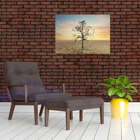 Obraz - Drzewo na pustyni (70x50 cm)