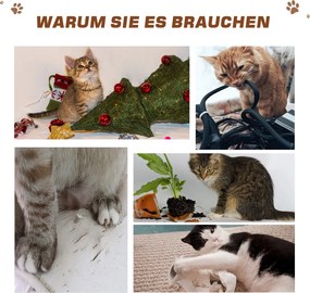 PawHut wielofunkcyjny domek dla kota z drapakiem hamakiem i słupkiem sizalowym drewno jodłowe naturalne | Aosom PL