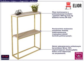 Konsola W Stylu Glamour Z Półkami Złoty + Dąb Sonoma G6-L66