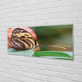 Panel Kuchenny Szklany Samotny Motyl w Locie