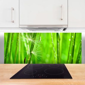 Szkło do Kuchni na Ścianę Naturalna Tekstura Trawy