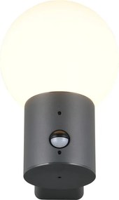 Lampa zewnętrzna ścienna z czujnikiem ruchu ø 18 cm Mures – Trio