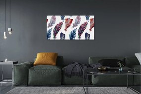 Obraz na płótnie Feeria Kolorowych Piór