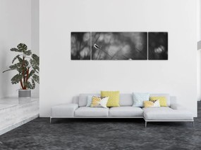 Obraz - Trawa łąkowa (170x50 cm)