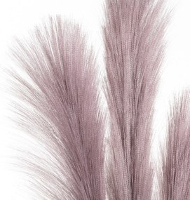 Trawa pampasowa 100cm light violet