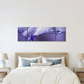 Obraz - Płatek z kroplami (170x50 cm)