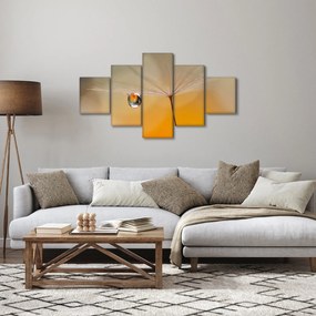 Obraz - Makro kwiat (125x70 cm)
