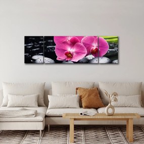 Obraz - Różowe orchidee z liściem palmy (170x50 cm)