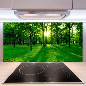 Szkło do Kuchni na Ścianę Parkowe Alejki W Słońcu