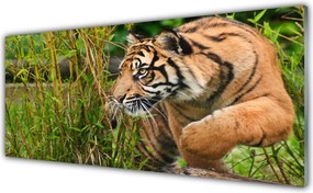 Panel nad blat kuchenny Majestatyczny Tygrys w Gęstwinie