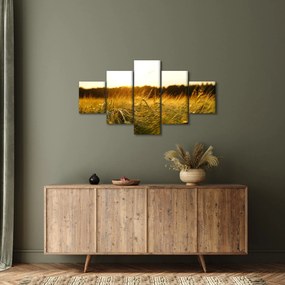 Obraz zroszonej trawy (125x70 cm)