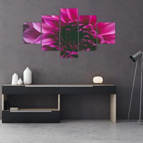 Obraz różowego kwiatu róży (125x70 cm)