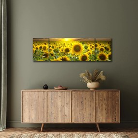Obraz - Słoneczniki o zachodzie słońca (170x50 cm)