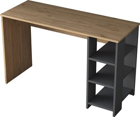 Biurko Hamen Walnut and Anthracite