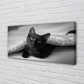 Obraz na płótnie Przytulny Kot pod Kołdrą