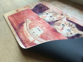 Wycieraczka Deco Star Kociaki 40 cm x 60 cm