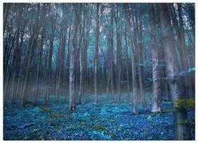 Obraz - Magiczny las (70x50 cm)