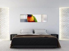 Obraz papugi (170x50 cm)