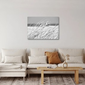 Obraz - Trawa plażowa (70x50 cm)