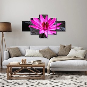 Obraz - różowy kwiat (125x70 cm)
