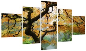 Obraz żółtego klonu japońskiego, Portland, Oregon (125x70 cm)
