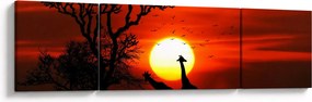 Obraz - Sylwetki zwierząt o zachodzie słońca (170x50 cm)