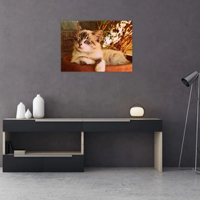 Obraz na szkle kota w doniczce (70x50 cm)