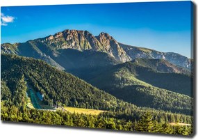 Foto obraz na płótnie Panorama Tatr