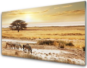 Panel Kuchenny Zebry Na Afrykańskiej Sawannie