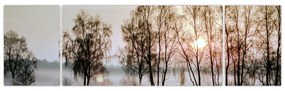 Obraz - Poranna suchość (170x50 cm)